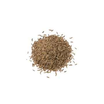 EL BENNA CARVI GRAIN 100GR