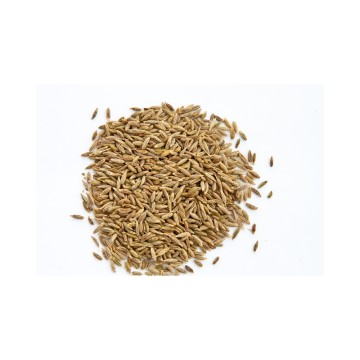 EL BENNA CUMIN GRAIN 100GR